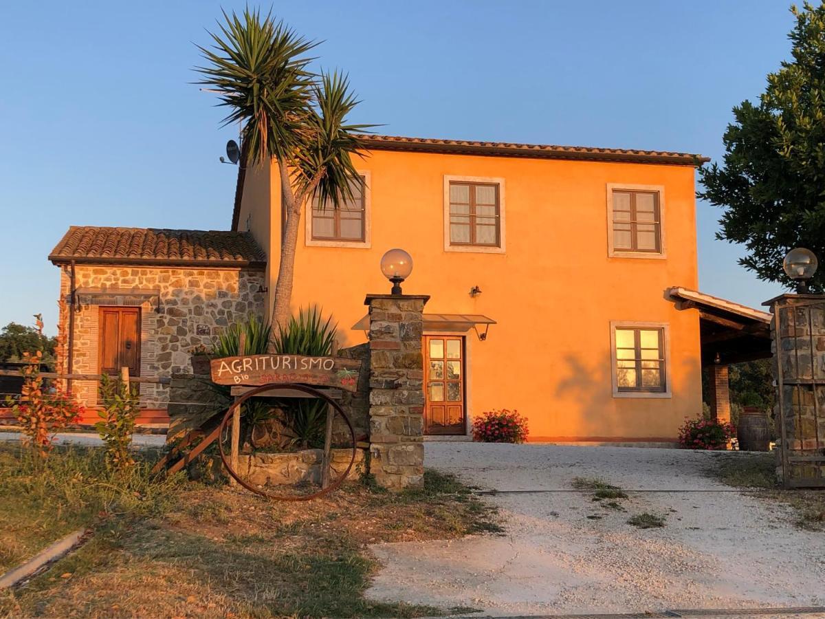 Villa Agriturismo Il Saragiolo Montemerano Exterior foto